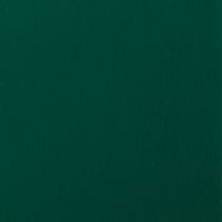 Moosgrün ähnlich RAL6005