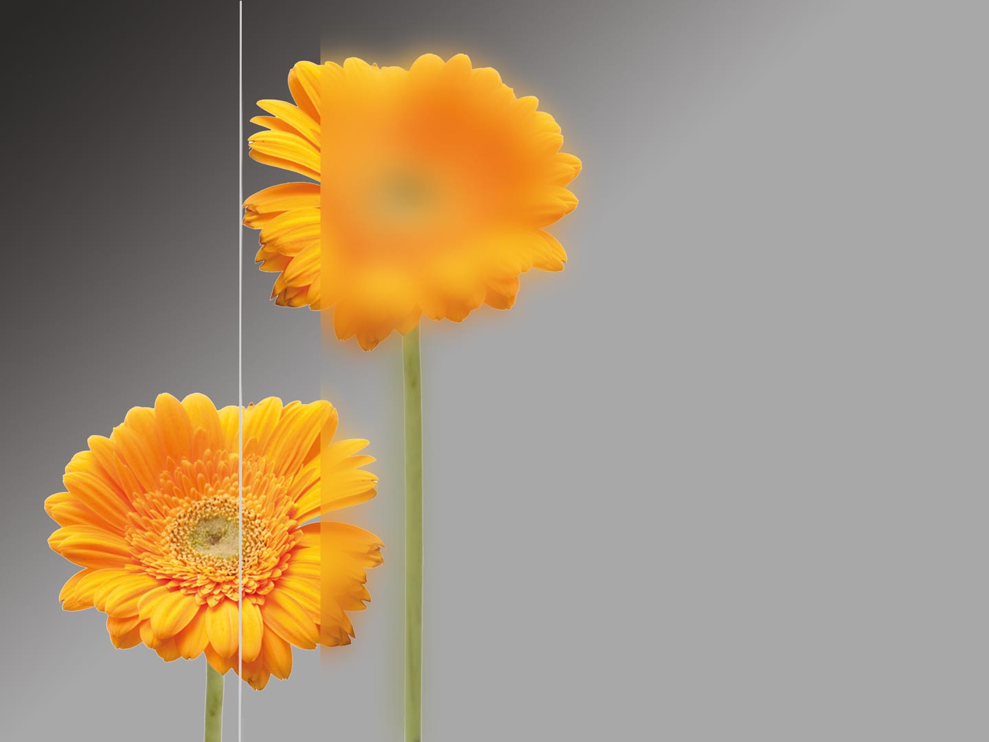 Mattiertes Glas mit klarem Rand